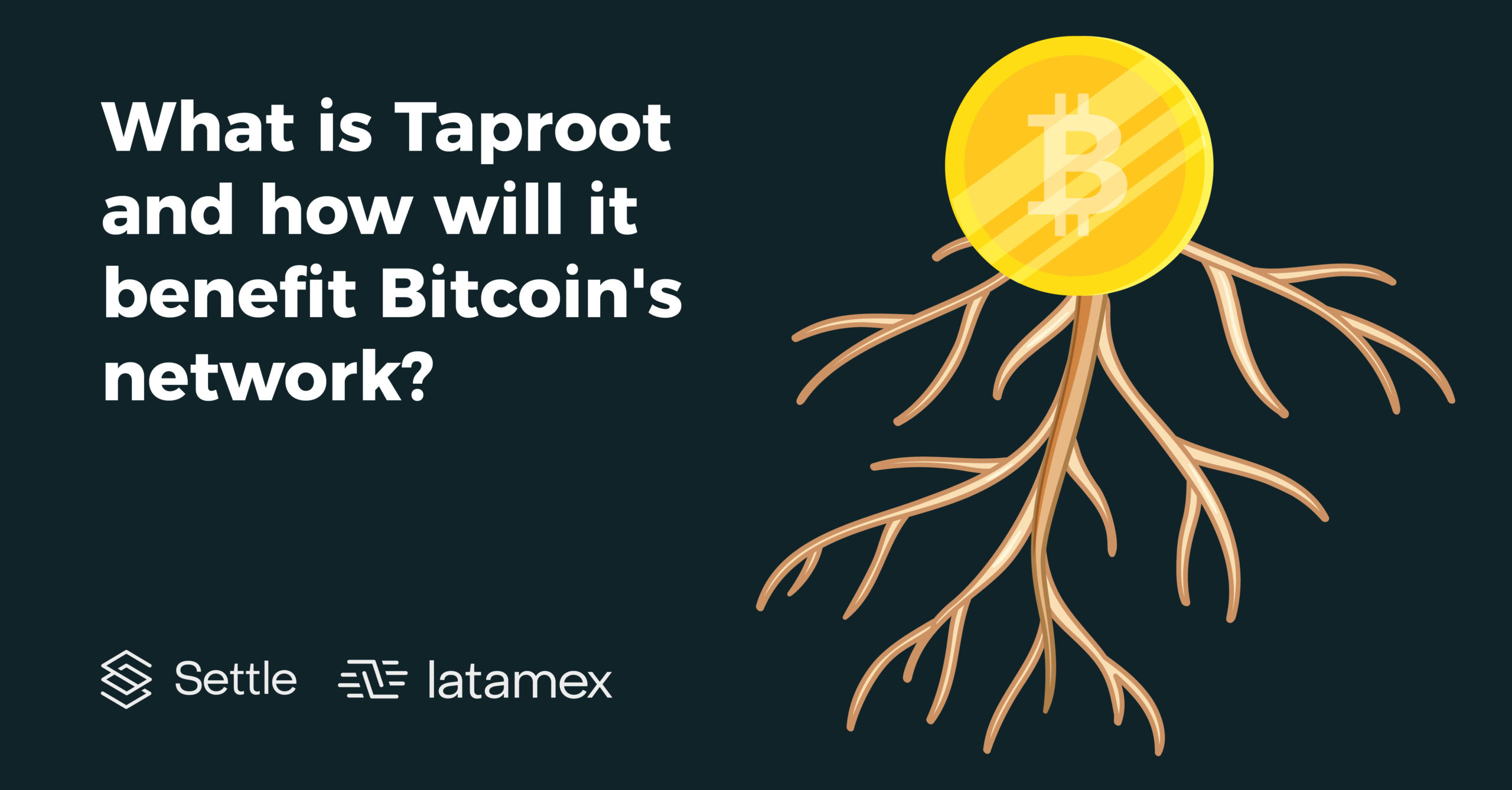 What is taproot? Settle Network, Latamex